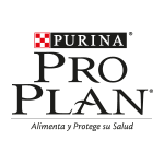 Pro Plan